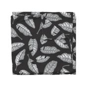 Calatheas Painterly Hand-Drawn Striped Tossed Leaves in Black White Gray - UnBlink Studio by Jackie Tahara