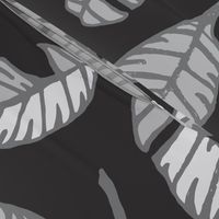 Calatheas Painterly Hand-Drawn Striped Tossed Leaves in Black White Gray - UnBlink Studio by Jackie Tahara