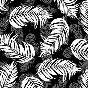 Palm Village - Feathery Fronds in Black and White