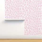 Blush leopard print pink leopard skin