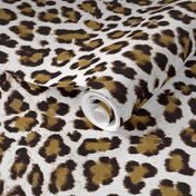 Real leopard print