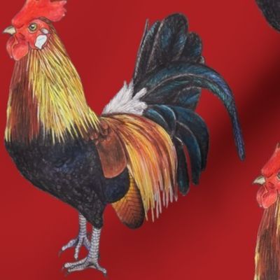 Rooster on Red - large scale