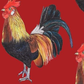 Rooster on Red - large scale