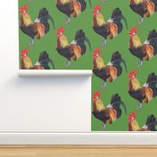 Rooster on Grass Green - large scale