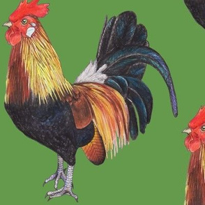 Rooster on Grass Green - large scale