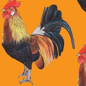 Rooster on Orange - large scale