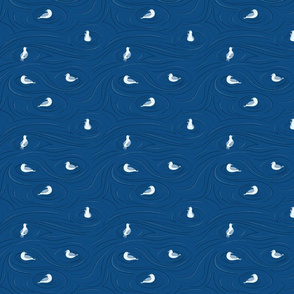 A Flock of Seagulls © Jennifer Garrett