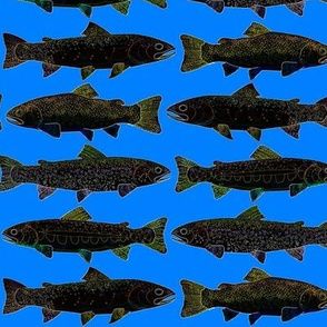  4 Rocky Mountain Trout black on sea blue