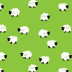 (small scale) sheep - lamb spring - green - LAD20