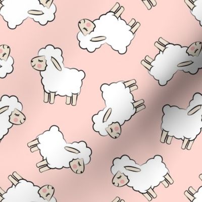 Lambs - cute lambs - sheep - pale pink toss - spring easter - C20BS