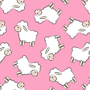 Lambs - cute lambs - sheep - pink toss - spring easter - C20BS