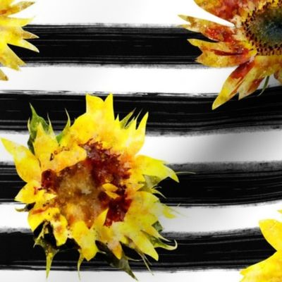 Sunflower Stripe - Black