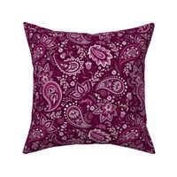 Fuschia Soma Paisley