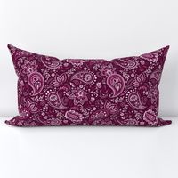 Fuschia Soma Paisley