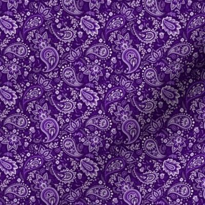 Purple Soma Paisley