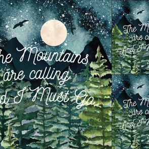 1 blanket + 2 loveys: midnight sky // the mountains are calling and i must go