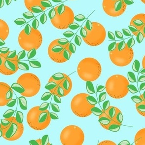 Tropical Florida Citrus Oranges and Leaves