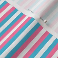 Trans pride stripes 1/4 inch