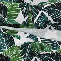 Monstera_Leaves-XL