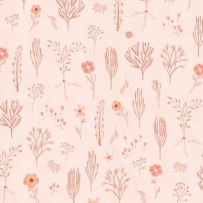 Meadow pink