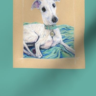 White whippet framed