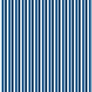 classic blue stripes thin
