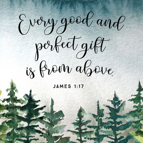 36"x54": every good and perfect gift is from above // john 1:17 