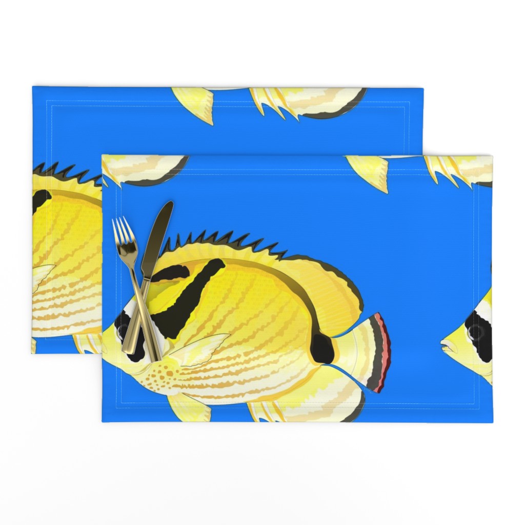 Raccoon ButterflyFish on sea blue