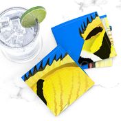 Raccoon ButterflyFish on sea blue