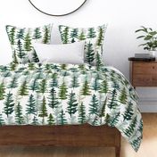 firs and pines // large