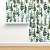 firs and pines // large