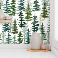 firs and pines // large