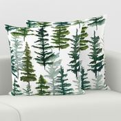 firs and pines // large