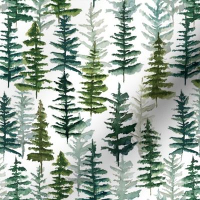 firs and pines // small