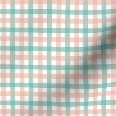 Gingham - Blush and Mint, Small