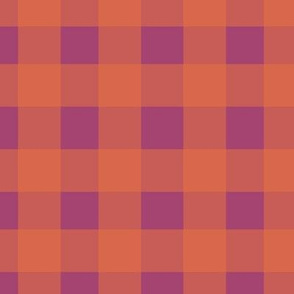 Gingham - Orange and Hot Pink