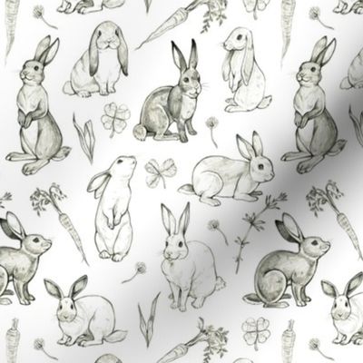 Rabbit Sketches 