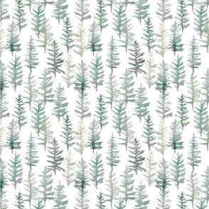 blue spruce // small 