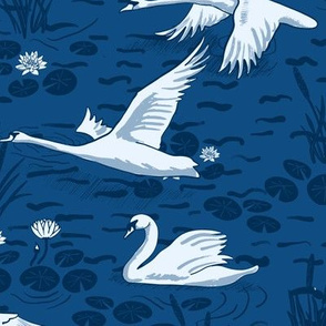 Blue Swans