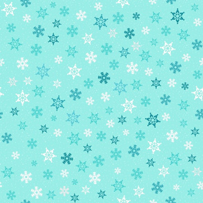 Polar Bear Snowflake Coordinate