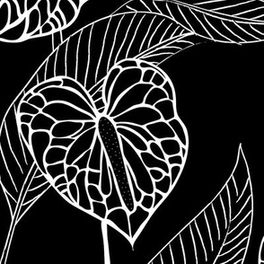 LARGE art nouveau anthuriums - black and white