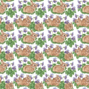 cottontail bunnies and violets 6x6