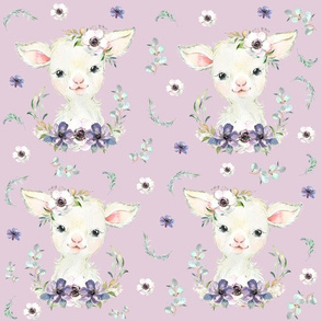 lavender lamb