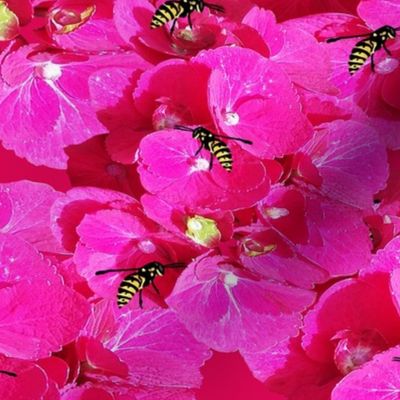Flora & Fauna Wasp’s & Fuchsia  Flowers