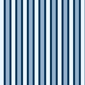 Classic Blue Vertical Stripes (#1) of Narrow Ribbons of Midnight with Slate and Ice - Large Scale