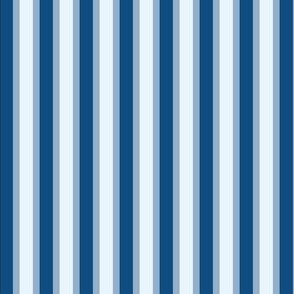 Classic Blue Vertical Stripes (#4) of Narrow Ribbons of Slate with Ice and Classic Blue - Large Scale