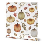 Fall Harvest Pumpkins // White
