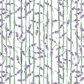 Tossed lavender sprigs on green stripes