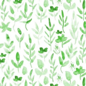 green leaves - watercolor plants and grass p255
