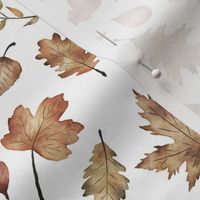 Fall Leaves // White